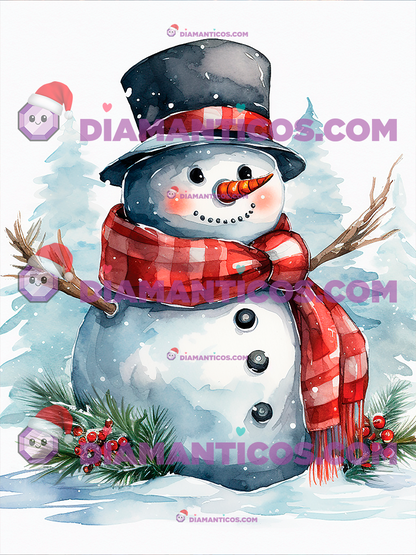 Muñeco Nieve 30x40cm A18